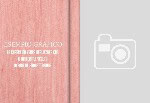 Fotocopertina (BATT) (25x35)